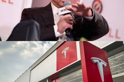 BREAKING: Leading Tesla Investor Ross Gerber Urges Elon Musk to Step Down After $800 Billion Market Value Collapse
