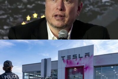 Elon Musk Blames Media for Inciting Attack on Tesla, Declares: ‘I Am the Victim of a Conspiracy’