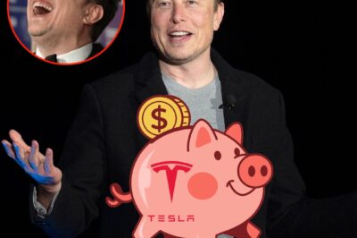 Why Tesla Is Called Elon Musk’s Personal Piggy Bank