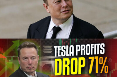 Why Did Tesla’s Profits Collapse by 71%? What Is Elon Musk Really Prioritizing—Politics or Innovation? And Can His 12-Word Warning Save the Company Before It’s Too Late?