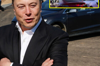 BREAKING: Tesla’s Astonishing Rise from the Ashes—How Elon Musk Transformed a Company on the Brink of Collapse into an Unstoppable Force That’s Redefining the Auto Industry. Experts Laughed in 2018… But What Happened Next Shocked the World!