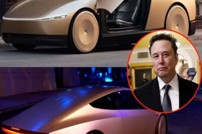 Elon Musk Pulls the Plug: Why Tesla’s $10 Billion Robotaxi Dream Just Died—and What It Means for the Future of Driverless Cars