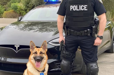 AI, Tesla Drones, and Predictive Crime: Elon Musk’s Vision for Policing