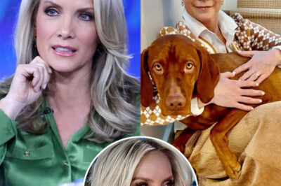 SHOCKING: Dana Perino’s Unwavering Dedication to Fox News Revealed—How She Overcomes Every Challenge Without Letting It Affect Her! Dana Perino’s commitment to her job has left fans in awe, as she reveals the incredible sacrifices she makes to stay focused, no matter the challenges. Behind the scenes, Fox News executives are reportedly astounded by her ability to stay composed through any situation. What motivates Dana to push through tough moments, and what does this mean for her future at Fox? The shocking details of her dedication are now coming to light—prepare for the inspiration to unfold