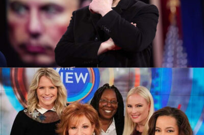 Fact Check: Did Elon Musk Really Call ‘The View’ a ‘Gathering Spot for Ignorant Women’?