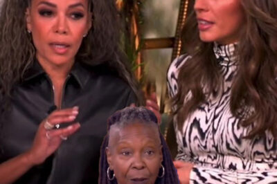 Behind the Smiles of ‘The View’: What ABC Doesn’t Want You to Know About the Explosive Incident That Rocked the Show – Why Are Fans Saying “This Might Be the End”?