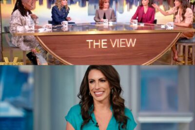 Even the hosts of The View can’t resist exclaiming “Oh my God” whenever co-host Alyssa Farah Griffin discusses matters concerning “family joy.” What exactly occurred?