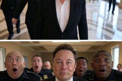 Elon Musk gets kicked out of a 5-star hotel by security… so he has SpaceX BUY THE ENTIRE BUILDING in 120 seconds. The most expensive revenge story ever?