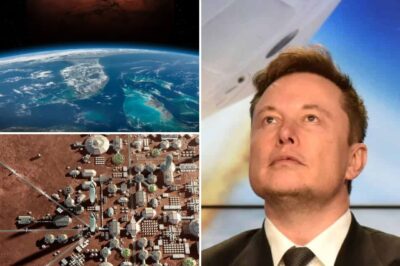 Elon Musk Predicts Human Landing on Mars by 2029 to Secure All Life on Earth