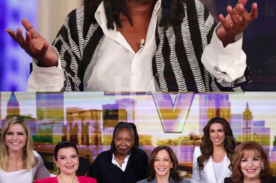 Disney Secretly Deploys “Babysitter” to The View After Weeks of Meltdowns — But What He Was Sent to Control Might Be Bigger Than Just Whoopi, Sunny, and Joy