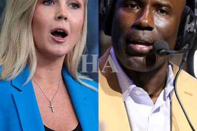 THIS JUST HAPPENED: Ex-NFL Star Tries to Corner Karoline Leavitt on Live TV—Her Ice-Cold Comeback Stuns the Studio Into Silence – vv