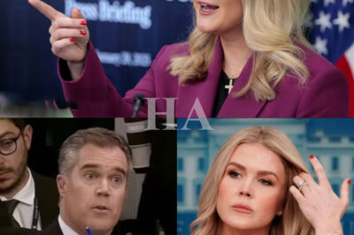Peter Alexander’s Career on the Line After Live Clash With Karoline Leavitt Stuns Viewers and Shakes NBC News to Its Core