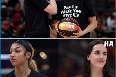 The WNBA’s Financial Crisis: Can Players Demand More While the League Bleeds Money?