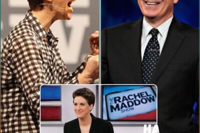 From ‘Too Political for CBS’ to ‘Primetime Revolutionaries’? — THE LATEST PLAN That Stephen Colbert and Rachel Maddow Will Team Up for a New Late Show Has Late Night Veterans Worried