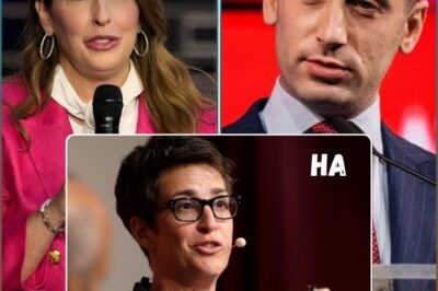 OFFICIALLY Tallying up the fallout at MSNBC after Rachel Maddow challenged her new boss on live TV. Are they on the right track, is this the start of a network takeover? The entertainment industry is shaking up!