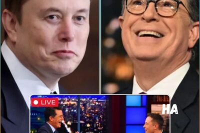 ELON MUSK ANNOUNCES PLAN TO BUY ABC, APPOINTS Stephen Colbert AS CEO