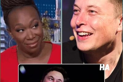 The Unbelievable Truth: Elon Musk’s “Hidden Queen” Revealed — Joy Reid to Helm His Media Empire in a Shock Power Move No One Saw Coming