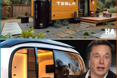AMAZING: Elon Musk unveils Tesla tiny house with a price tag to suit everyone