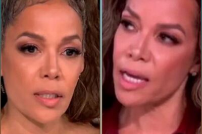 Unprepared Sunny Hostin Gets Epic FACT CHECK on Illegal Immigration!