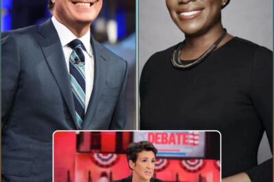 AFTER CBS NEWS FIRED STEPHEN COLBERT, THE INTERNET COMMUNITY IS SURPRISED BY THE ANNOUNCEMENT OF COLLABORATING WITH RACHEL MADDOW AND JOY REID FOR A BREAKING NEW PROGRAM — PROMISES TO BE THE FUTURE OF NIGHTTIME TV?