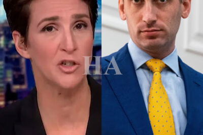 “‘I Don’t Debate Monsters. I Expose Them.’ — Rachel Maddow Delivers a Crushing On-Air Blow to Stephen Miller, Leaving Him Speechless and Washington in Crisis Mode” He came to defend his wife, but he left with nothing but a shattered reputation. In a TV moment that’s already being called the year’s most brutal reckoning, Rachel Maddow didn’t raise her voice—she dropped the truth with one searing line. “You want to talk morals, Stephen?” The secrets she just exposed are shaking Washington to its core. Why is the capital in full-blown damage control?👇
