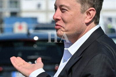 They Called Elon Musk’s Robotaxi Idea Crazy — Today He’s $385 Billion Richer, and Wall Street Is Still Picking Its Jaw Off the Floor