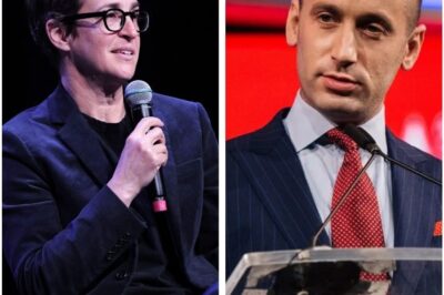 “I DO NOT DEBATE MONSTERS — I EXPOSE THEM” — Rachel Maddow’s merciless on-air takedown has Washington scrambling, and viewers are witnessing one of the harshest TV confrontations of the year.