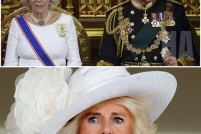 BREAKING: Queen Camilla’s Name Mysteriously REMOVED From Royal Decree Signed by King Charles & Princess Anne — Palace Power Shake-Up!