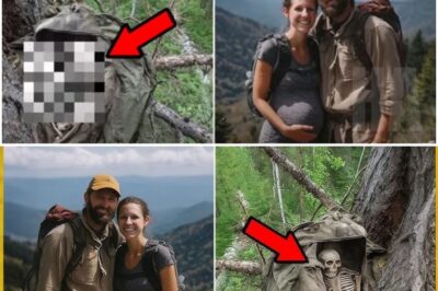 Young Couple Vanished in Appalachians — Found 10 Years Later in Sleeping Bag on Tree