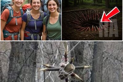 Four Hikers Vanished In Rockies, 7 Years Later Rangers Find a Booby Trap Deep in Forest…