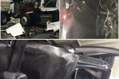 Miracle on the Highway: How Kaleb Whitby Survived a 26-Car Pileup Unscathed