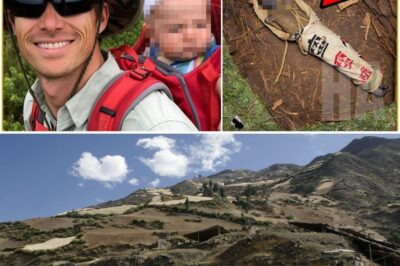 Father and Child Vanished in Peruvian Andes — Years Later a HORRIFYING DISCOVERY Is Made…