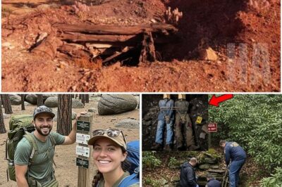 Couple Vanished in Smokies — 2 Years Later This is Found in Old Mine Shaft…