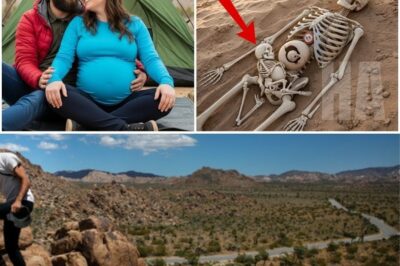 Husband and Pregnant Wife Vanished Camping in Joshua Tree, 11 Years Later Hiker Finds This…