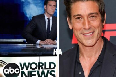 David Muir receives big news on World News Tonight tenure ahead of 11th year with ABC show