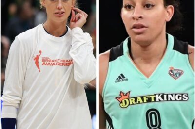 The WNBA Faces Its Most Catastrophic Crisis Yet: A Legal Battle That Could Change the League Forever
