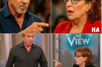 “From ‘Rocky’ to Rejected?” — Sylvester Stallone’s Live TV Meltdown on The View Sparks Industry-Wide Reckoning as Joy Behar’s On-Air Ambush Backfires Spectacularly
