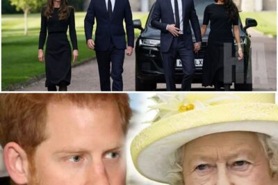 Prince Harry, alone, without Meghan, appeared in a black suit in front of the statue of Queen Elizabeth II. No noise, no entourage — just a heavy silence surrounded the controversial nephew.