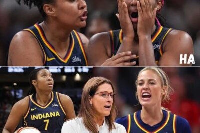 FIRE STEPHANIE WHITE ALIYAH BOSTON DESTROYED by a BACKUP Indiana Fever HUMILIATED by Dallas Wings