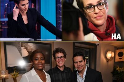 “IT’S TOO LATE, I WILL NOT STAY SILENT” — Maddow’s Emotional On-Air Stand Sends Shockwaves Through MSNBC, Leaving Executives in Crisis Mode, and Viewers Demanding Answers
