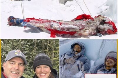 When Steve and Natalie Brody set out for Alaska’s Denali National Park in July 2017, they were ready for the challenge.