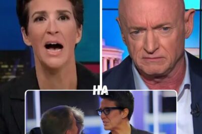 Maddow stood quietly at the heart of mainstream news, her voice rising only within the confines of network-approved rhetoric. But now, in a stunning turn, she’s breaking free, ready to tear down everything corporate news has built.