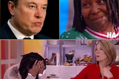 Elon Musk speaks out on ABC PURCHASE and plans to cancel The View: The end of an era means getting rid of toxic women, he’ll rehire ABC’s CEO and make it a condition to cancel “The View” after two decades