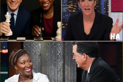 MEDIA EARTHQUAKE: Maddow, Colbert, and Reid Quietly Ignite an Independent Newsroom – Shattering Censorship, Challenging Corporate Control, and Rewriting the Rules of Journalism