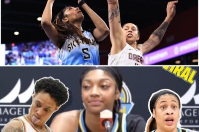 “WE WON’T PLAY ANOTHER MINUTE.” Brittney Griner and Angel Reese Shake the WNBA to Its Core