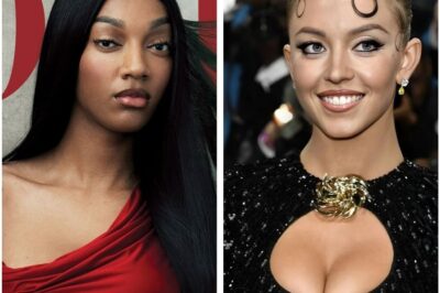 The WNBA star is risking backlash from sponsors, fans, and corporate America itself—calling for a nationwide boycott of American Eagle after its latest ad featuring Sydney Sweeney.