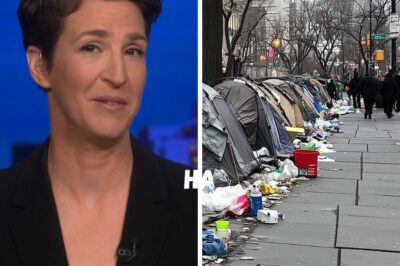 THE SILENT HEROISM THAT LEFT THE WORLD IN SHOCK: Rachel Maddow’s Bold Move to End Homelessness