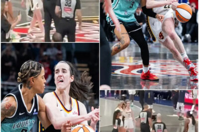 Three WNBA Referees FIRED in Shocking Bribery Scandal — Indiana Fever Fans Demand Replay, and the Leagυe Finally Responds