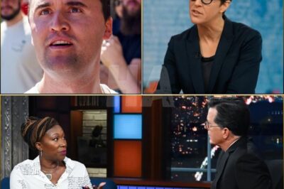 The Unlikely Trio: Joy-Ann Reid, Rachel Maddow, and Stephen Colbert Unite in a Call for Special Coverage of Charlie Kirk – WARNINGDL