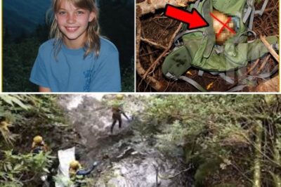 Girl Vanished in Smoky Mountains — 4 Years Later HORRIFIC FIND in Old Backpack under Tree